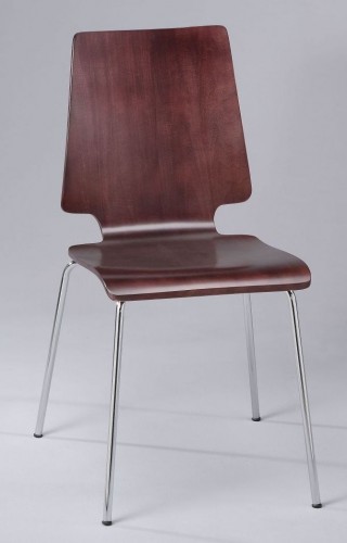 Metal Legs Frame Tulip Shape Bentwood Dining Chair