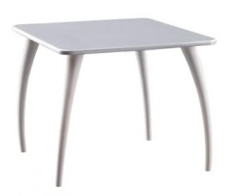 Wood Table with Plastic legs